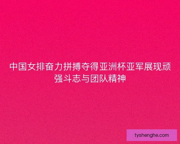 中国女排奋力拼搏夺得亚洲杯亚军展现顽强斗志与团队精神